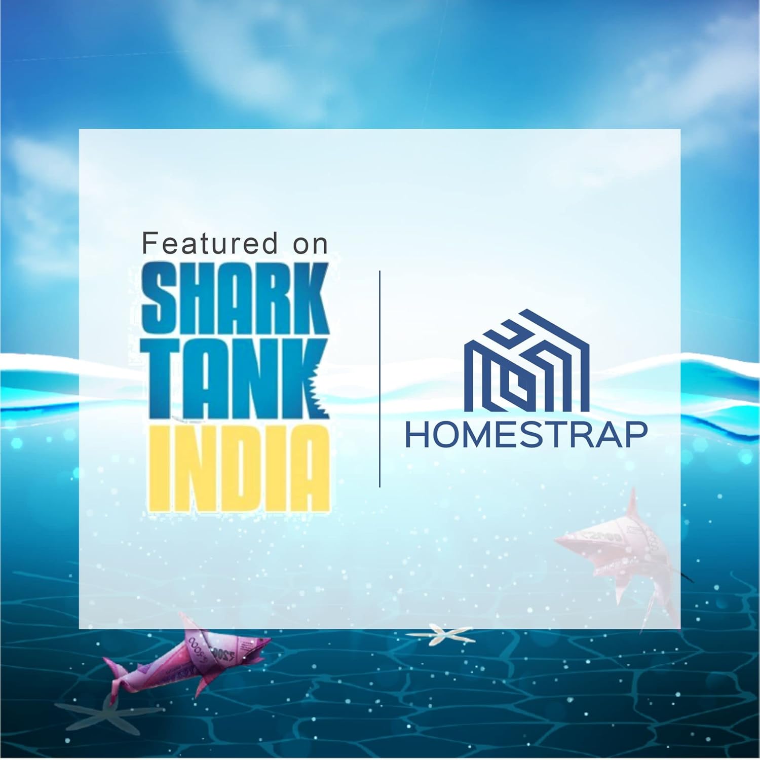 Homestrap Set of 6 Non-Woven Printed Saree Cover/Cloth Storage/Wardrobe Organizer For Clothes with Transparent Window (Grey)(Shark Tank Featured) 45cmx33cmx22cm